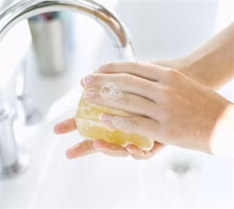 Cần rửa tay khi chế biến thực phẩm và cầm thức ăn.