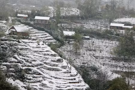 Tuyết Sa Pa.