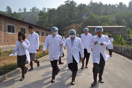 Đồng chí Bí thư Tỉnh uỷ, Phạm Minh Chính thăm mô hình nuôi lơn siêu nạc của Cổ phần Khai thác khoáng sản Thiên Thuận Tường (Mông Dương, TX Cẩm Phả)