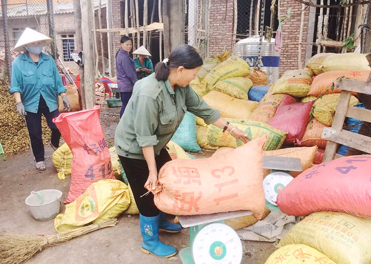 Thương lái thu mua nông sản tại khu vực chợ Đồng Văn. Ảnh: Huỳnh Đăng