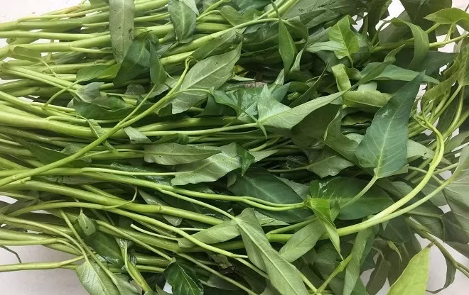 Rau muống nên rửa sạch, nấu chín để tránh ký sinh trùng và thuốc trừ sâu. Ảnh: Cẩm Anh