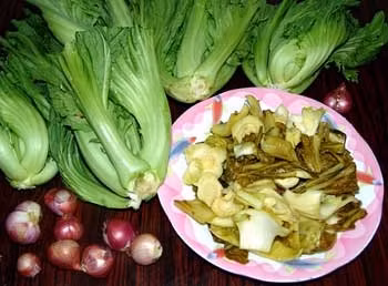 Muối dưa cần chọn loại cải bẹ to và đợi vài ba ngày dưa có màu vàng ươm, khi đó ăn mới an toàn.