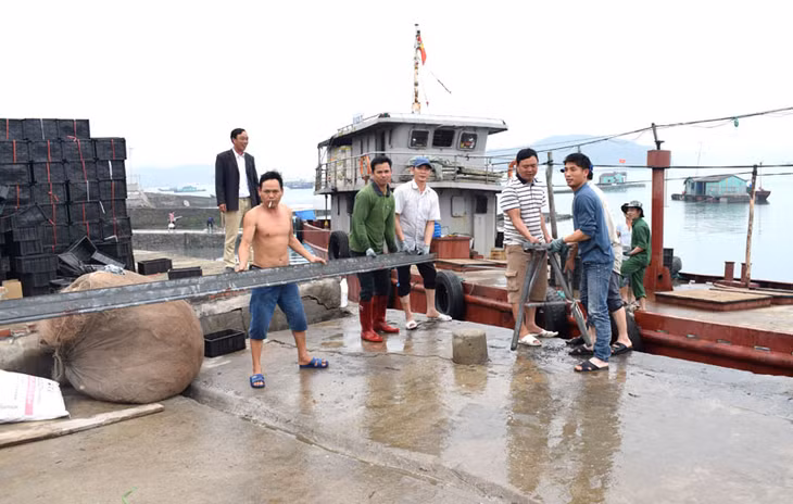 Tuy năm nay sứa chưa tiêu thụ dược, nhưng các nhân công xưởng sứa của ông Đàm (đứng sau cùng) vẫn có thu nhập ổn định