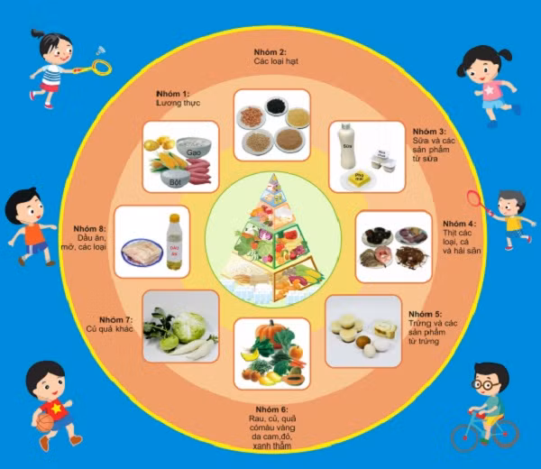 Các nhóm thực phẩm trong bữa ăn hàng ngày.Vai trò của thức ăn từ thực vật