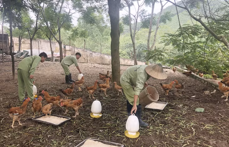 Và tham gia trồng trọt, chăn nuôi tăng gia gia sản xuất tại Cơ sở.