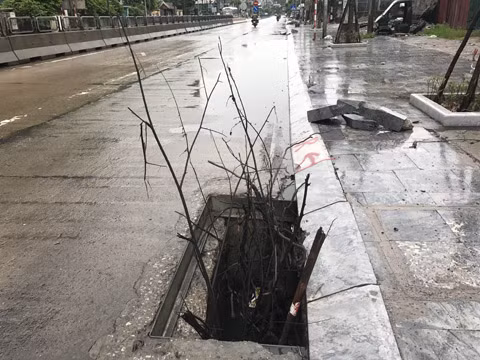 Người dân đã phải cắm cành cây để cảnh báo cho người tham gia giao thông không bị rơi xuống cống 