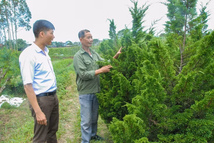 Hộ ông Nguyễn Văn Sơn (bên phải) là một trong những vườn mẫu kết hợp du lịch sinh thái tại thôn 4, xã Quảng Minh, huyện Hải Hà.