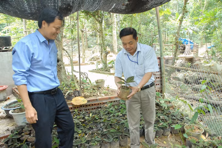 Cán bộ xã Tân Dân (huyện Hoành Bồ) tuyên truyền, hướng dẫn người dân về kỹ thuật ươn giống cây dược liệu bản địa.