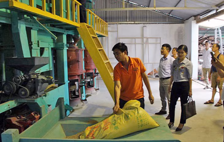 Dây chuyền sản xuất gạo của HTX Thương mại dịch vụ và Sản xuất nông - lâm - thuỷ sản Tuấn Hùng (huyện Đầm Hà).