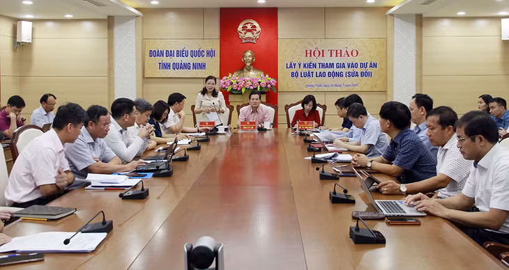 Đồng chí Đỗ Thị Lan, Trưởng Đoàn đại biểu quốc hội tỉnh phát biểu tại hội thảo.