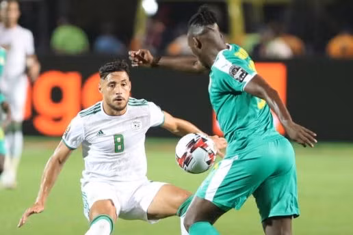  Senegal bất lực trong việc tìm đường vào khung thành Algeria.