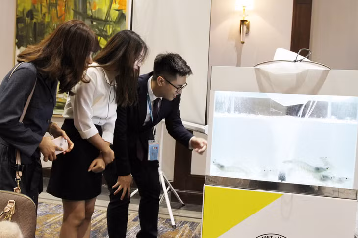 Các thực tập sinh tìm hiểu về tôm nuôi ở Quảng Ninh.