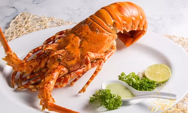 Tôm hùm bông của Việt Nam được các chuyên gia dinh dưỡng đánh giá có giá trị dinh dưỡng cao.