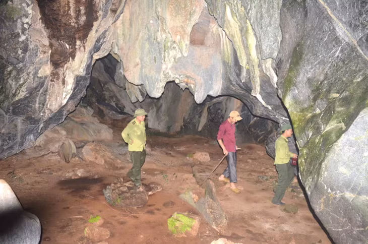 Hang Dơi nằm trong thung áng Cái Lim