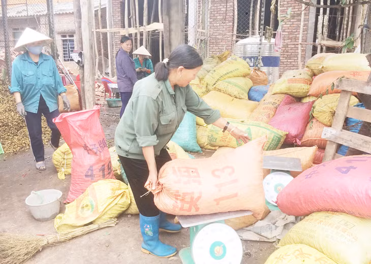 Thương lái thu mua nông sản tại khu vực chợ Đồng Văn.
