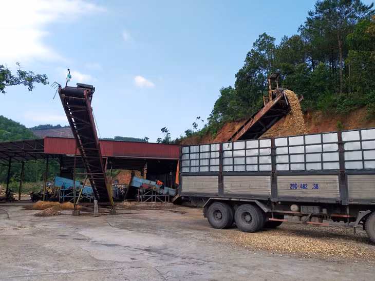 Cơ sở chế biến gỗ của Công ty TNHH MTV Lâm nghiệp Hoành Bồ được cấp phép, quản lý hoạt động đúng quy định của pháp luật