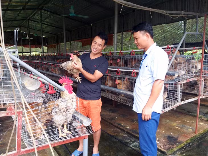 Cán bộ, đảng viên xã Quảng Tân xuống địa bàn nắm tình hình phát triển mô hình nuôi gà tại HTX Tuyền Hiền tại thôn Tân Hòa