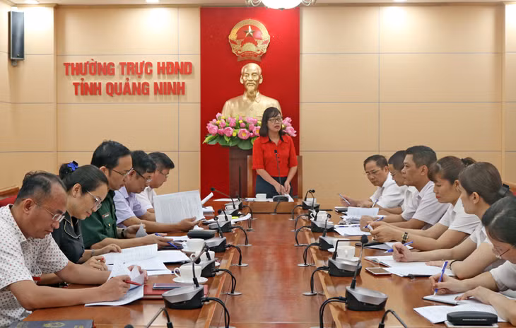 Đồng chí Nguyễn Thị Huệ, Trưởng Ban Pháp chế HĐND tỉnh phát biểu tại cuộc họp thẩm tra báo cáo của TAND tỉnh
