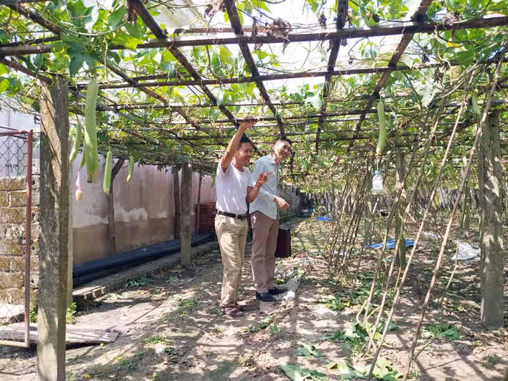 Kết cấu hạ tầng giao thông trên địa bàn huyện Vân Đồn đã và đang được nâng cấp, mở rộng 