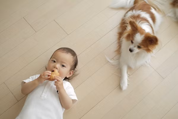 Những con vật nuôi trong nhà như chó, mèo không chỉ giúp trông nhà mà nó còn có tác dụng trong việc nâng cao khả năng miễn dịch ở trẻ sơ sinh.