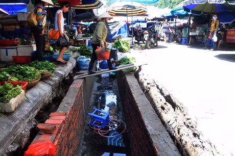 Rau xanh dược bày bán trên miệng cống trước mắt du khách và người dân.