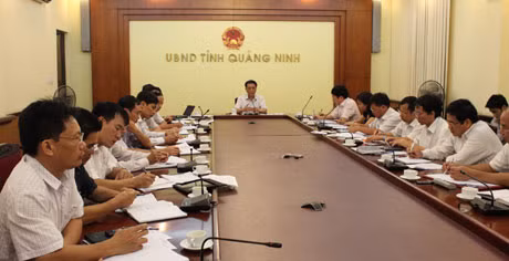 Đồng chí Đỗ Thông, Phó Chủ tịch Thường trực UBND tỉnh chủ trì cuộc họp.