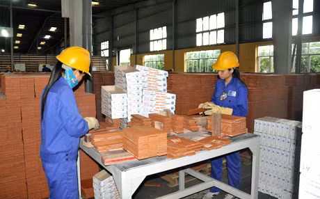 Sản xuất gạch tại Nhà máy gạch Cotto Giếng Đáy - Viglacera Hạ Long.