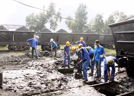 ĐVTN Công ty Tuyển Than Cửa Ông-Vinacomin tham gia dọn vệ sinh môi trường khai trường sản xuất.
