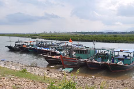 Tất cả tàu thuyền đã về nơi tránh trú bão an toàn.