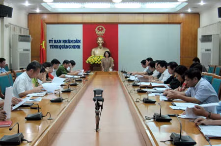  Đồng chí Vũ Thị Thu Thủy, Phó Chủ tịch UBND tỉnh kết luận cuộc họp.
