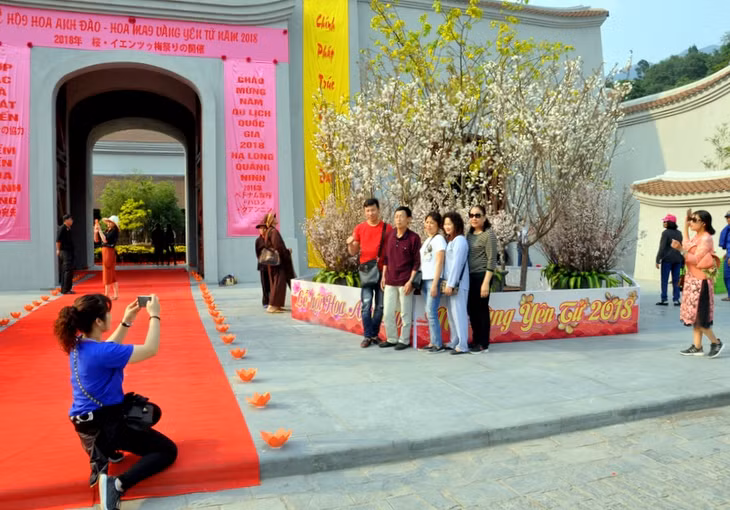 Người dân, du khách say sưa thưởng lãm và chụp ảnh lưu niệm bên hai sắc hoa anh đào và mai vàng tại lễ hội.