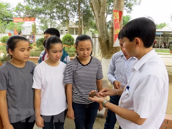Giáo viên tuyên truyền cho các em học sinh Trường Phổ thông dân tộc nội trú Trung học cơ sở Quỳ Châu về tác hại của việc ăn quả cây ngô đồng. (Ảnh: Bích Huệ/TTXVN)