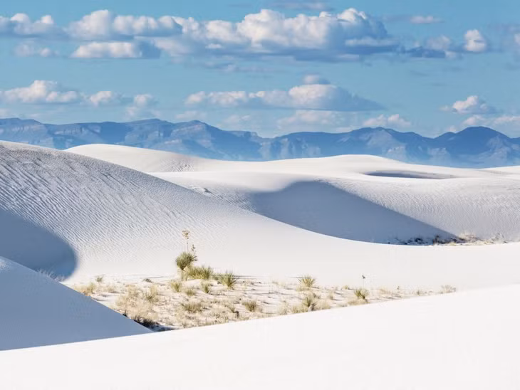 Khu bảo tồn Quốc gia White Sands, New Mexico, Mỹ: Khu bảo tồn Quốc gia White Sands ở New Mexico là một biển cát trắng lấp lánh và ngoạn mục. Nằm ở phía bắc hoang mạc Chihuahuan, White Sands rộng hơn 700.000 km2, được tạo ra khi một vùng biển nông, cạn đi từ hàng triệu năm trước. Ảnh: Galyna Andrushko/Shutterstock.