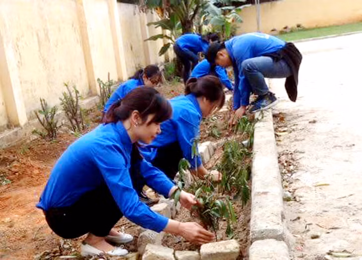 ĐVTN TP Uông Bí trồng cây xanh xung quanh khuôn viên Nhà văn hóa khu 7, phường Thanh Sơn.