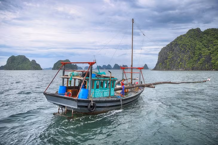 Tàu đánh bắt thủy sản của ngư dân trên Vịnh Bái Tử Long. Ảnh: Hùng Sơn