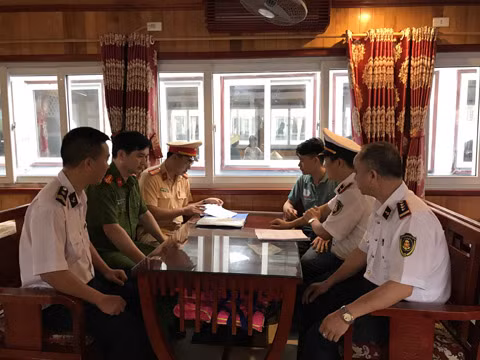 Đoàn kiêm tra tại Cảng tàu khách quốc tế Tuần Châu 