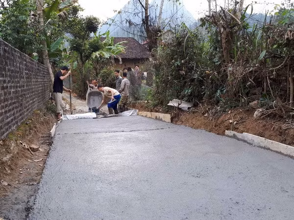 (Ảnh minh họa: Chu Hiệu/TTXVN)