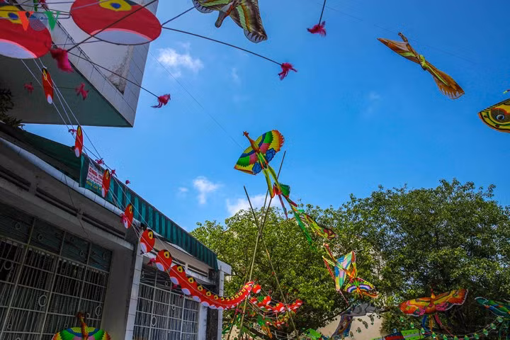  Những câu lạc bộ diều nổi tiếng khắp đất nước Việt Nam đã tụ hội về Festival Huế.