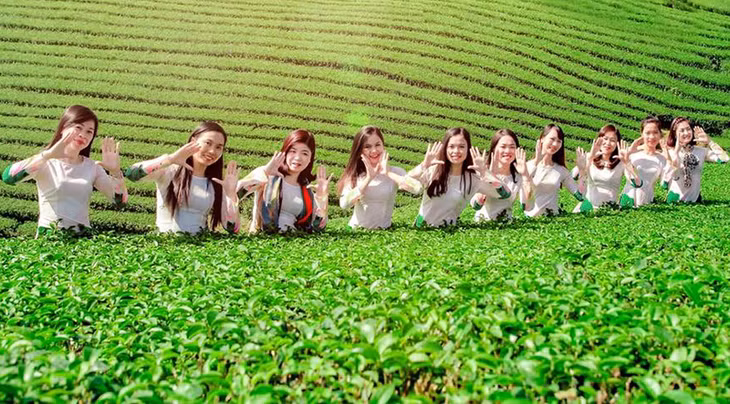 vẻ đẹp của vùng chè hải Hà luôn có sức hút đối với giới trẻ. Ảnh Thái Hà