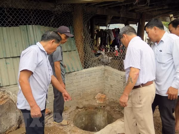 (Ảnh minh họa: Chu Quốc Hùng/TTXVN)