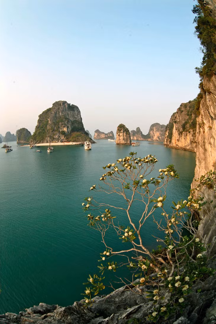 Vách núi với muôn mầu hoa khoe sắc.