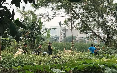 Khu vực nơi phát hiện thi thể.
