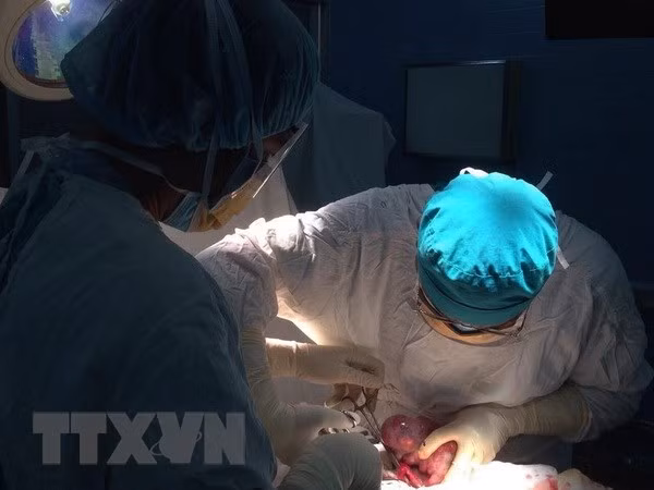 Ảnh chỉ có tính minh họa. (Nguồn: TTXVN)