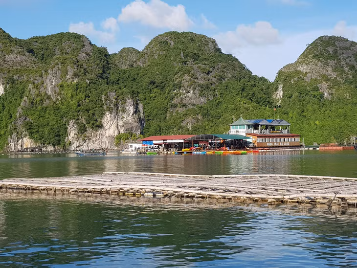 Khu tham quan và nuôi trồng ngọc trai trên Vịnh Hạ Long