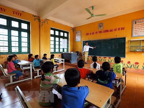 (Ảnh minh họa: Phan Tuấn Anh/TTXVN)