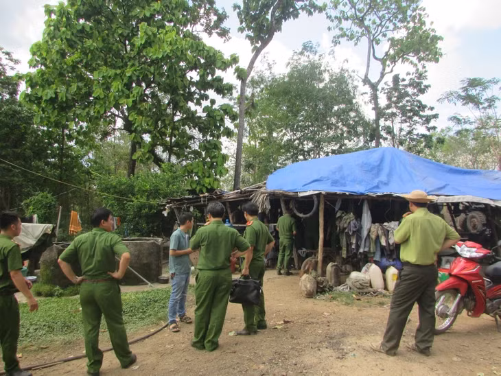 Các đơn vị thuộc Bộ Công an phát hiện triệt phá lán trại của Phượng “râu” nằm trong Vườn Quốc gia Yok Đôn.