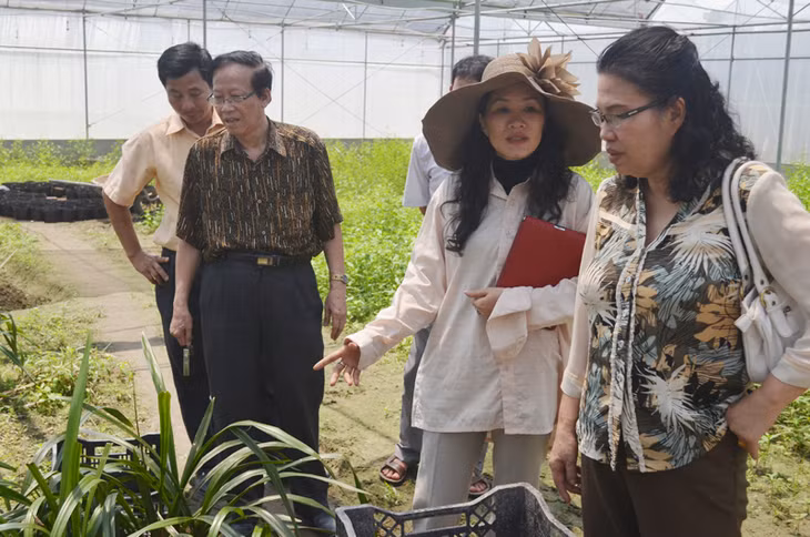 Chị Nguyễn Thị Dung (bìa trái), Giám đốc Công ty TNHH Dung Huy, giới thiệu với khách thăm quan dự án trồng lan của mình.