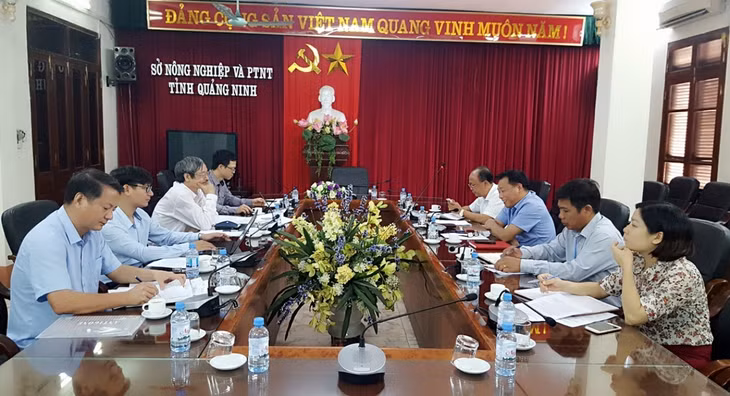 Cục Thú y làm việc với Sở NN&PTNT về các hoạt động ngăn chặn xâm nhiễm dịch tả lợn Châu Phi
