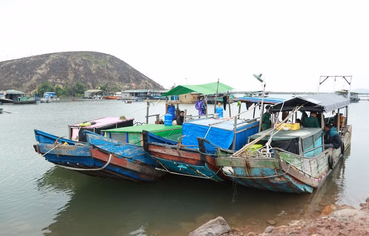 4 tàu vỏ gỗ đánh bắt thủy sản trái phép được đưa về khu neo đậu tàu, thuyền để xử lý theo quy định.