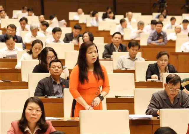 Đại biểu Vũ Thị Lưu Mai, đoàn Hà Nội, Uỷ viên Uỷ ban Tài chính ngân sách của Quốc hội. Ảnh: TTXVN